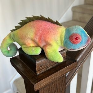 Iggy (Rainbow Tie Dye Fabric)